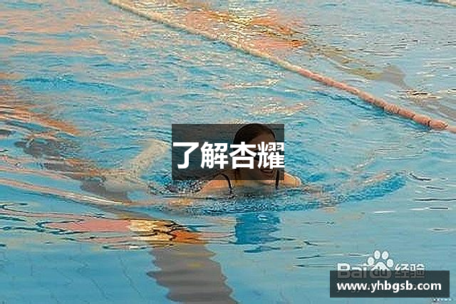 了解杏耀